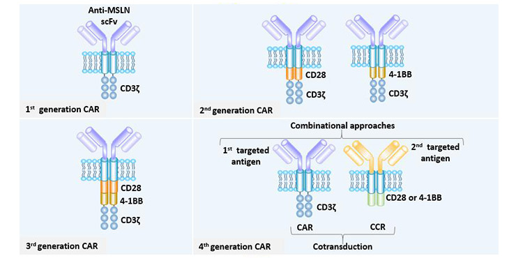 MSLN CAR的改進(jìn)