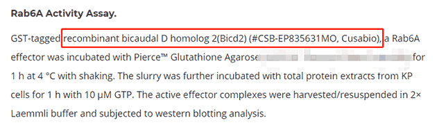 華美生物(Cusabio)助力論文發(fā)表