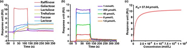通過(guò)SPR測(cè)定進(jìn)行結(jié)合親和力