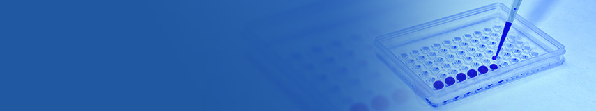 HCP檢測ELISA試劑盒